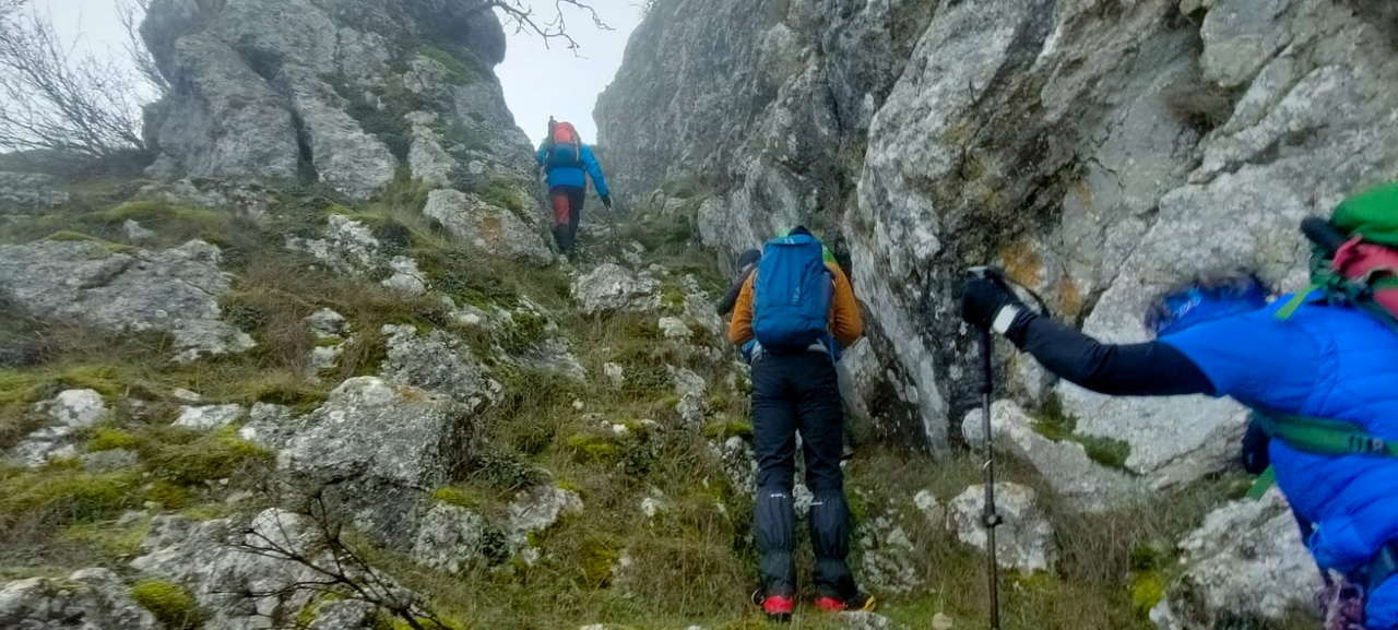 WhatsApp Image 2026-02-10 at 14.47.42 (4)